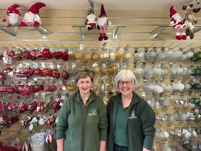  Festive Wreath or Swag Making Workshop
