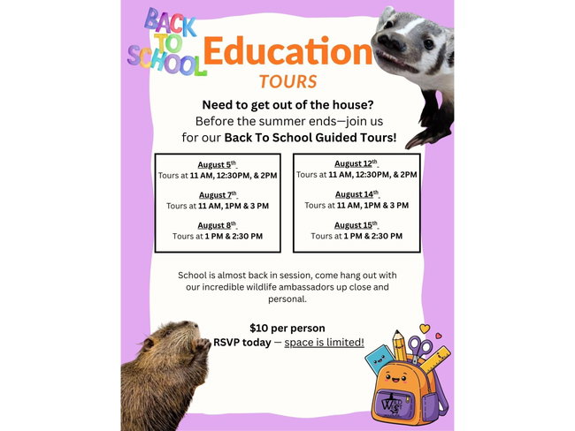 Back To School Guided Tours