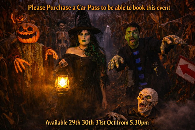 PLEASE CHOOSE CAR PASS TO ADD THIS TICKET The Harvest Calling  – NIGHT-TIME HORROR EXPERIENCE 