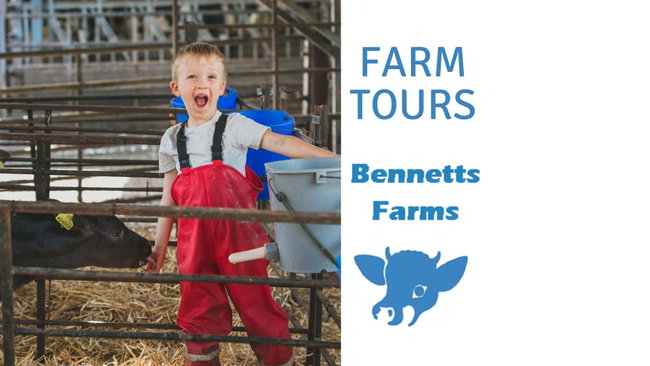 School trips to Bennetts Farms