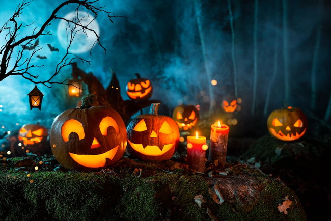 Moonlight Pumpkin Evenings  5.00pm-8.00pm🎃  (Early Bird Now Sold Out)