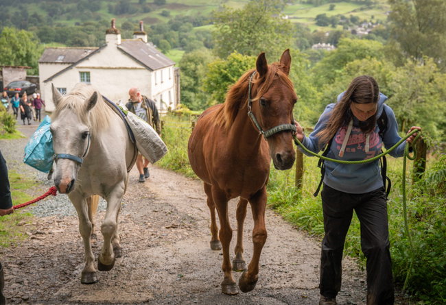 Early bird 10% Packhorse picnic