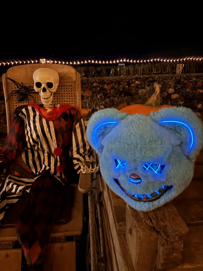 Night time Spook night (Over 16's) 23rd October ONE~ NIGHT - ONLY