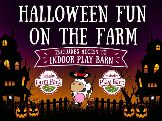 Halloween Fun on the Farm (includes access to the Indoor Play Barn)