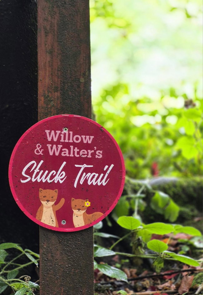 Willow & Walters Stuck Trail - 21 August - 13 October 