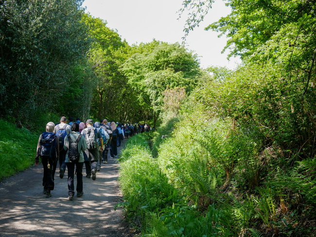 YHA Festival of Walking, Guided Social Walk from YHA Whitby - Saturday 26 September