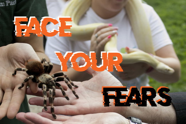 Face Your Fears
