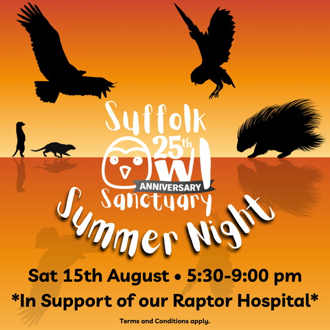 Summer Night at Suffolk Owl Sanctuary
