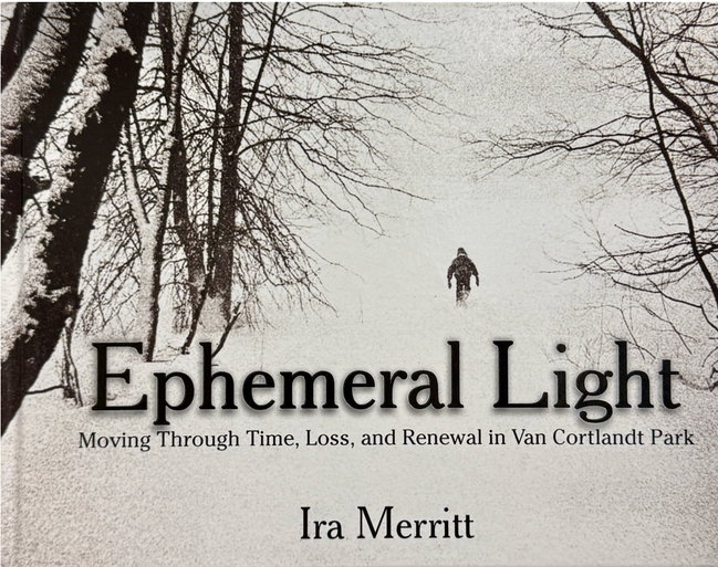 Ephemeral Light Artist Talk