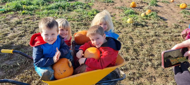 Mini Farmers