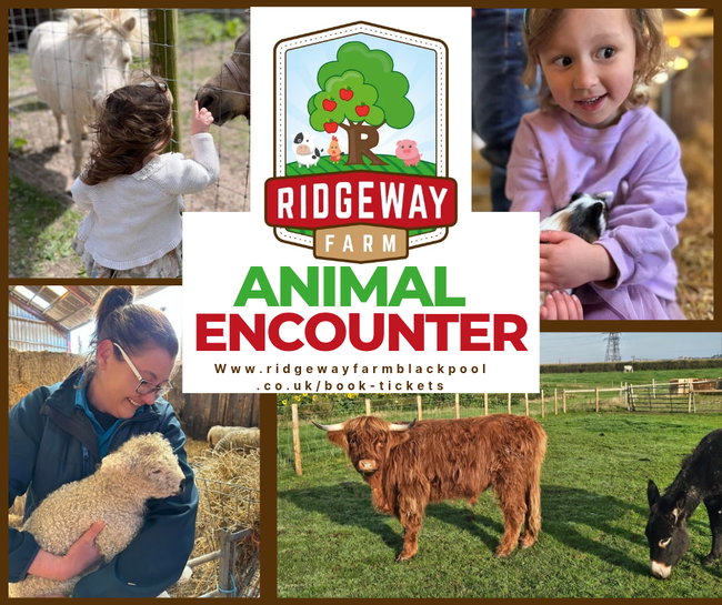 Ridgeway Farm Animal Experience