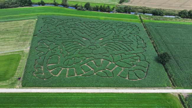 Summer Mazes 2026