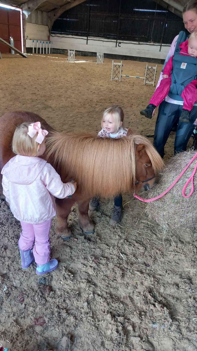 Tiny Trotters  Pony Club Indoors (2 - 4 years)