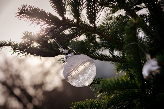 Vendor Tickets Christmas Market