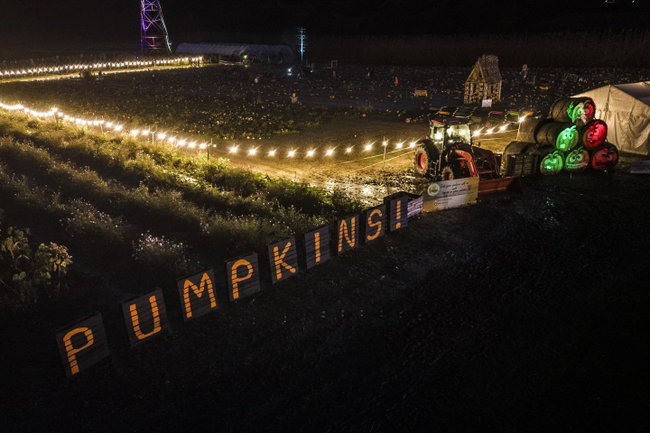 Pumpkin Nights
