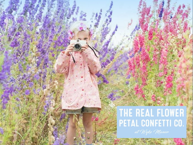Confetti Flower Field Professional Photography Pass 2026