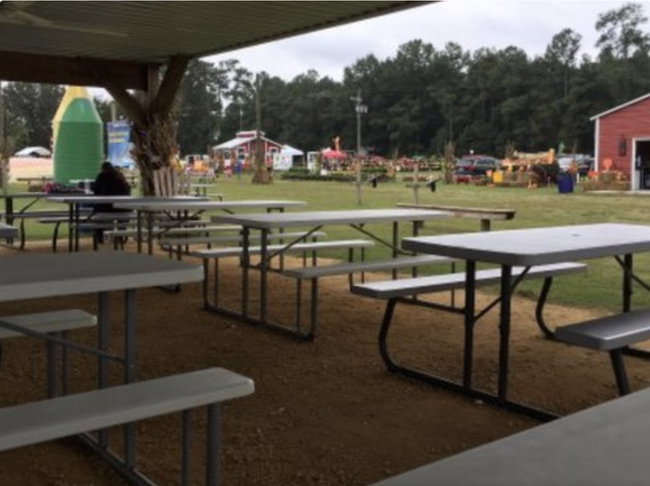 Picnic Tables