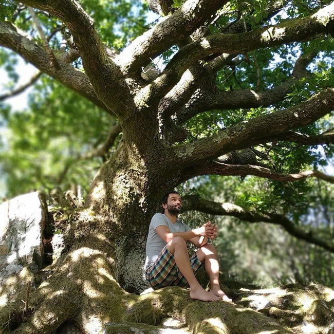 Early bird 10% OFF Forest Bathing