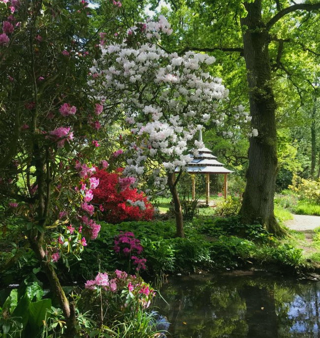 2026 MINTERNE GARDENS 1 DAY ENTRY