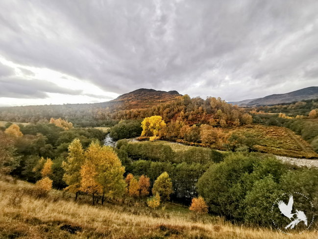 Tales of Other Times –  Newtonmore, Lore & History Walk (3.5 hours, 6.5km, 160m ascent) Private Group Booking