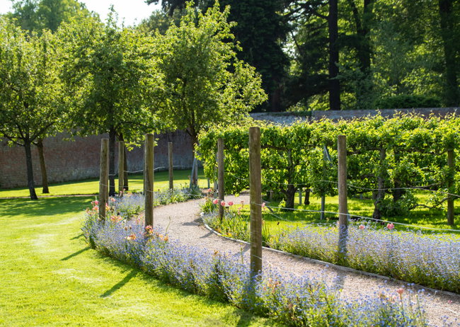 Garden Open Day at Combermere Abbey