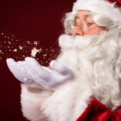 Relaxed (ASN) Santa's Cottage Visit