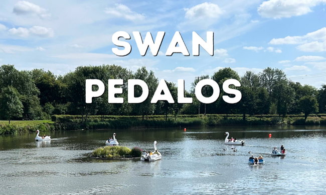 Swan Pedalo Hire 2026