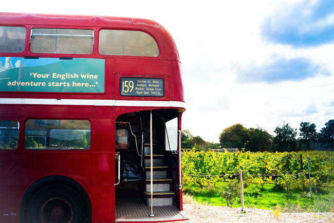 Vintage Bus Wine Tour from Brighton
