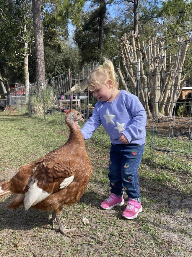 Farm Visit to Rooterville Animal Sanctuary
