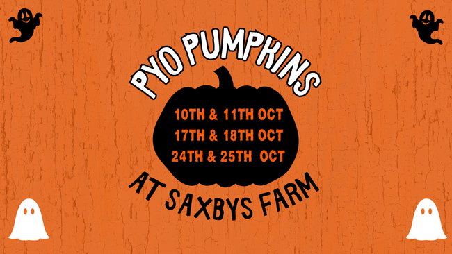 PYO Pumpkins at Saxbys Farm in October 2026
