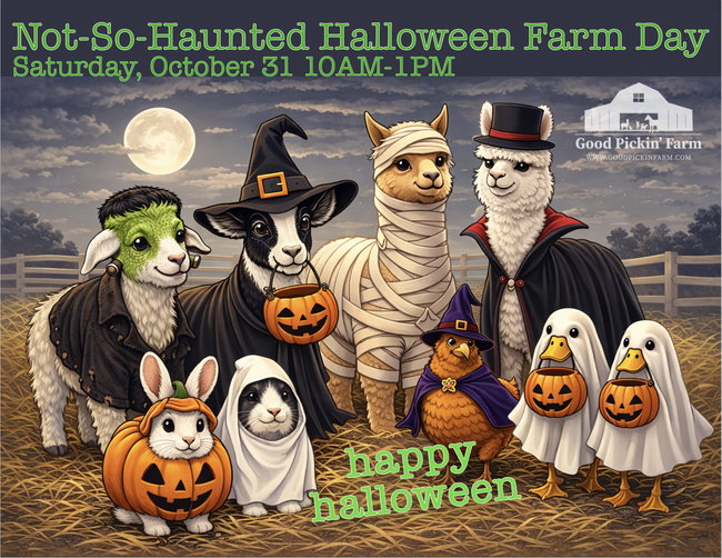 Not-So-Haunted Halloween Farm Day