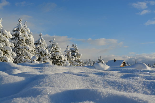 Christmas Clay Pigeon Shooting Silver Experience (Dec 26)