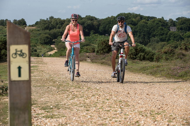 Full Day Bike Hire with New Forest Activities 