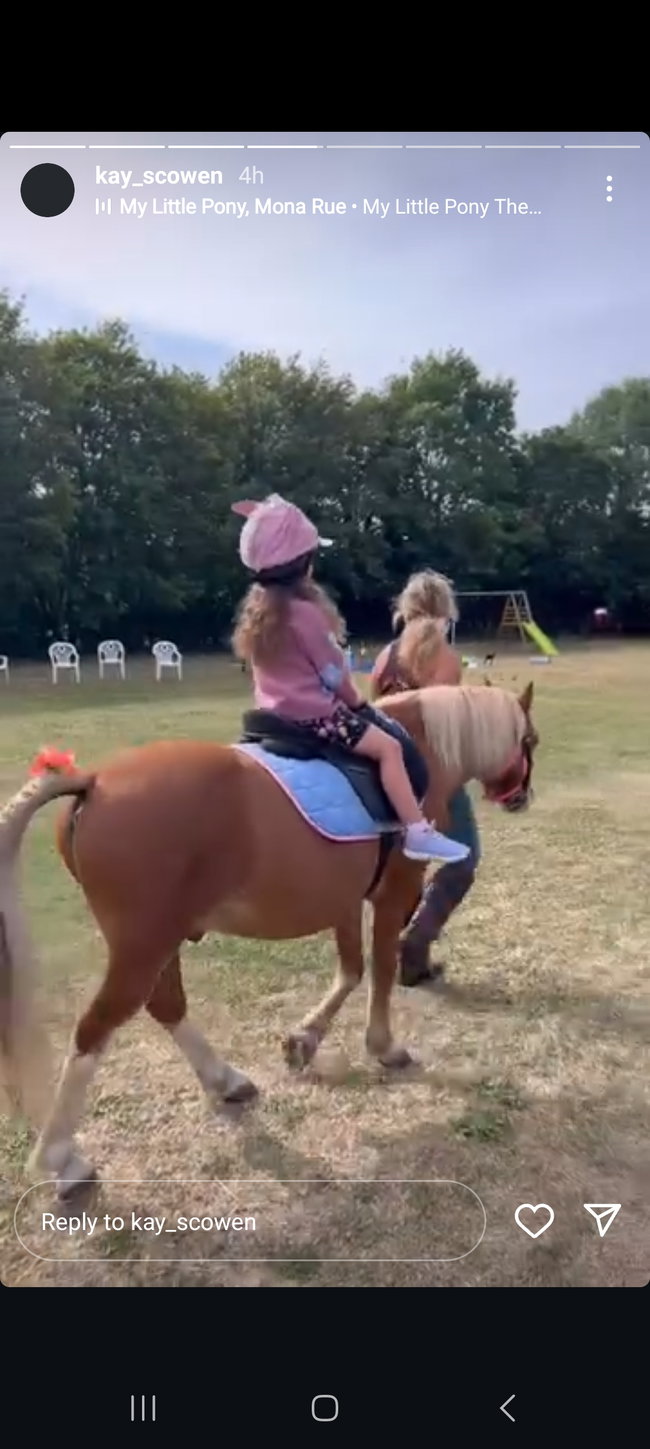 Pony Fun Days pay on line or pay on entry ( Battlesbridge venue )book online or cash or card on entry 