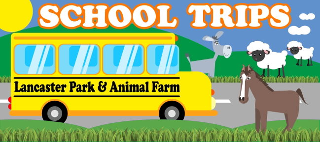 School and Nursery Group Bookings