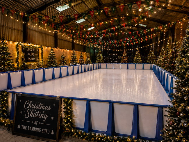 🎄 Christmas Skating at The Lambing Shed