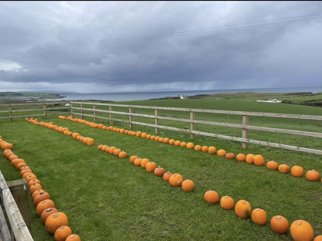🎃 Pumpkin Patch Quiet Session 🎃 