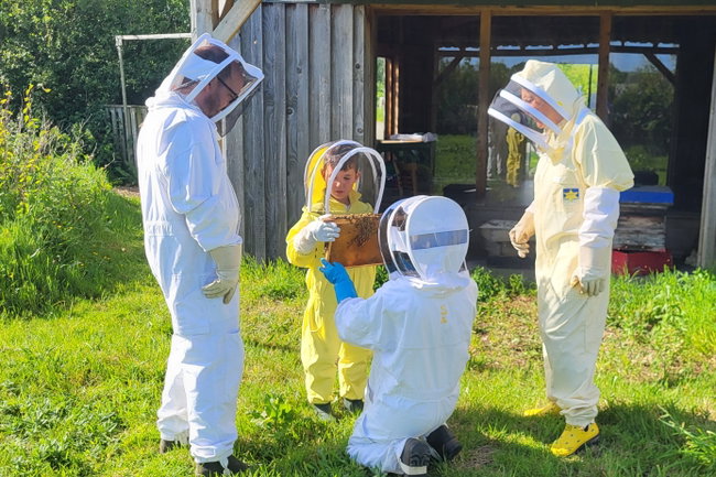 An Hour with the Bees