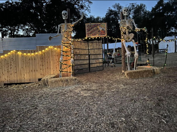 The Haunted Pumpkin Patch - Nighttime (live actors)