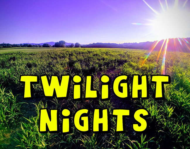 Twlilight Maze at Worcester Maze!