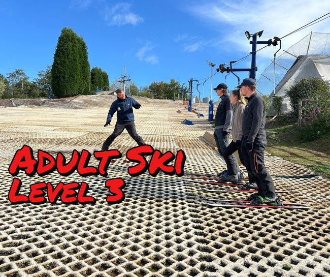 Adult Ski - Level 3 