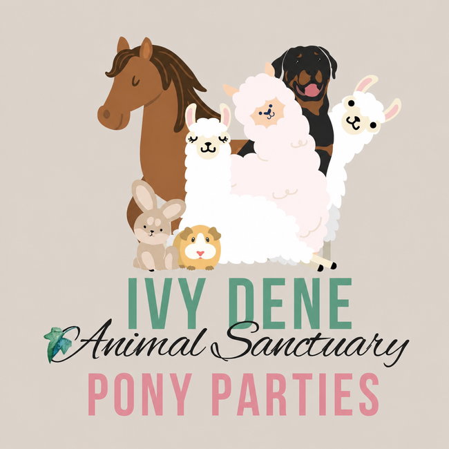 Pony Parties
