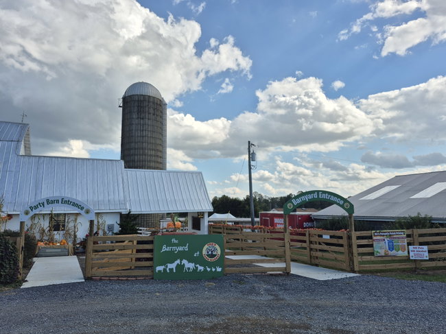 Orr's Pumpkin Patch Experience