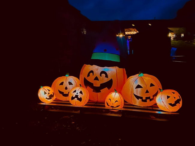Moonlit Pumpkin Picking