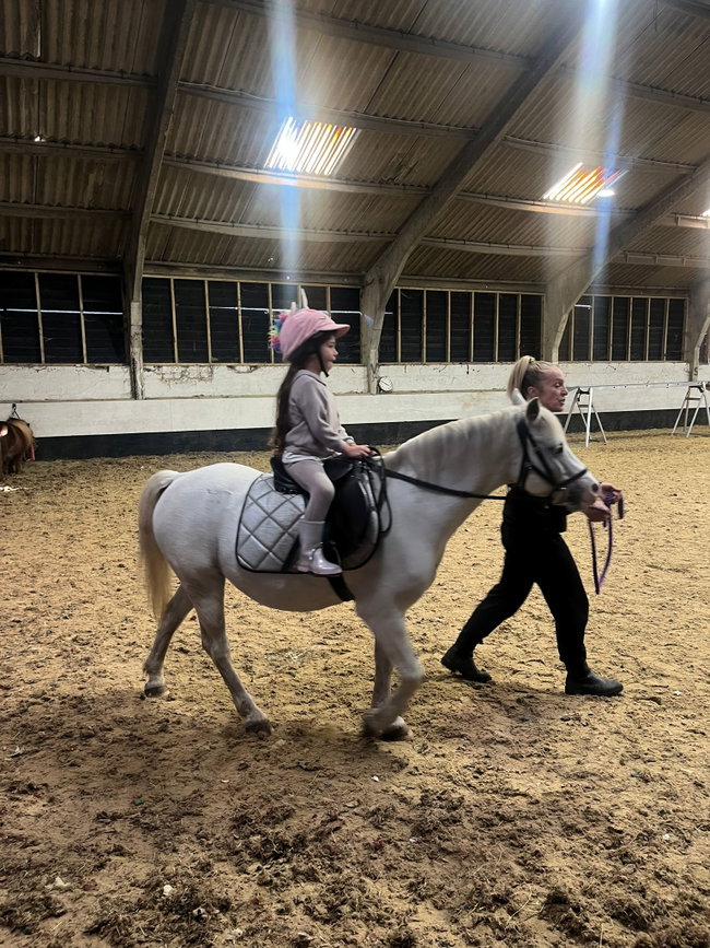 Learn to ride / or ride and groom lessons indoors  