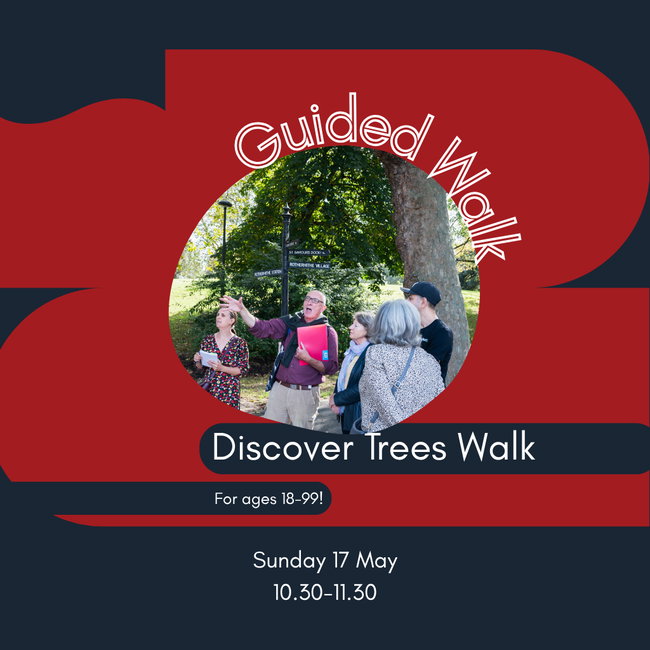 Discover Trees Walk