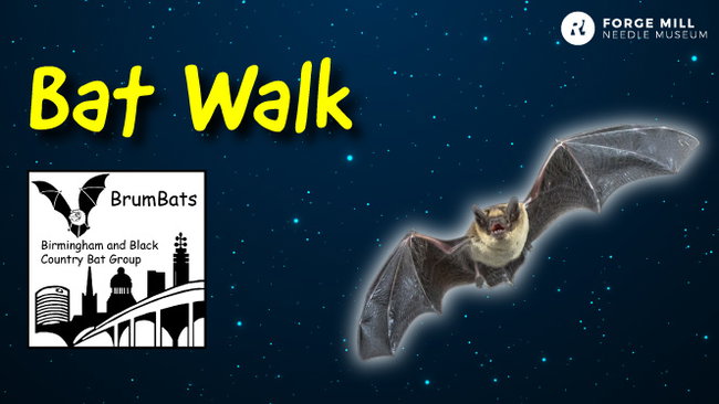 Bat Walk