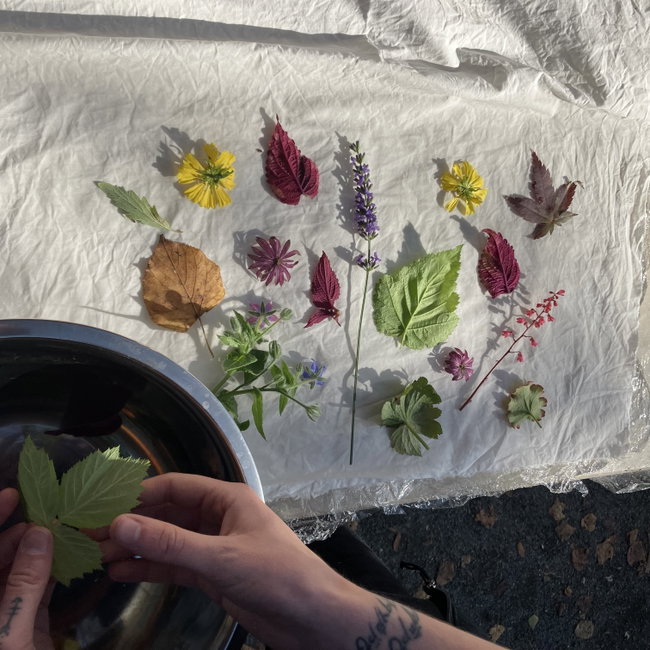 Georgian Dye workshop with Dr Lindsey Holmes