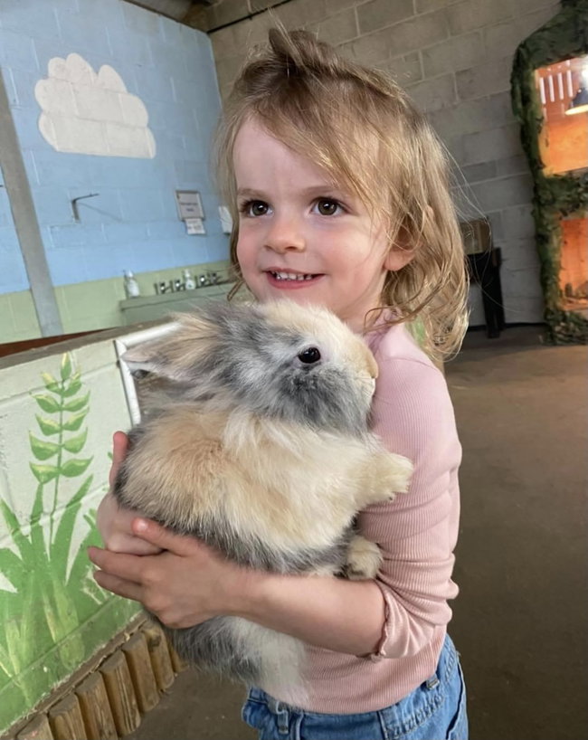 Small Animal Handling