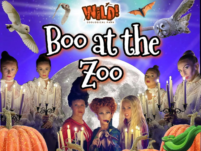 👻🎃 BOO AT THE ZOO – SPECIAL HALLOWEEN EVENT! 🎃👻